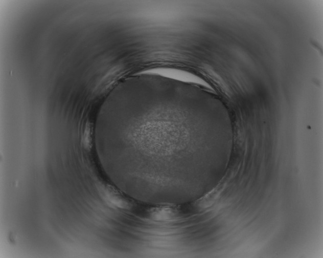 X0000096380074200801311308