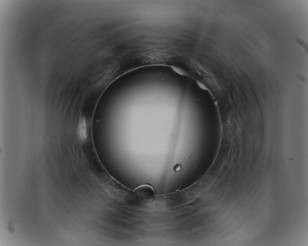 X0000096380075200801311308