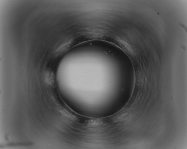 X0000096380077200801311308