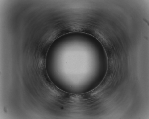 X0000096380079200801311308