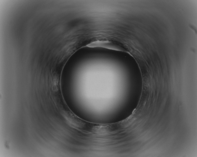 X0000096380082200801311308