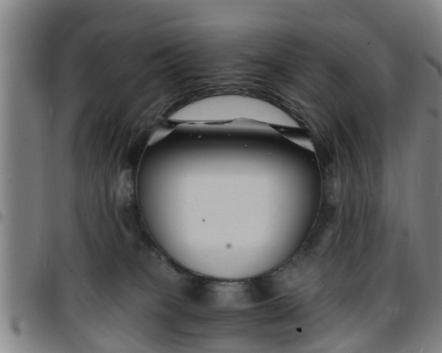 X0000096380085200801311308