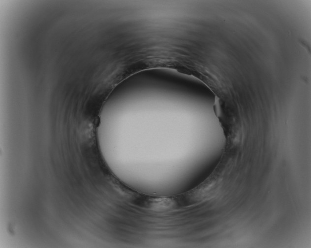 X0000096380087200801311308