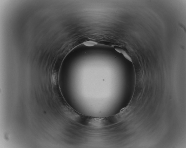 X0000096380090200801311308