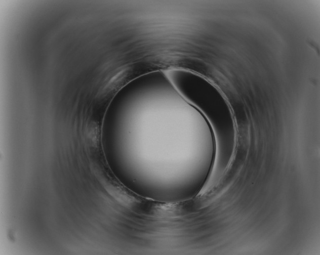 X0000096380092200801311308