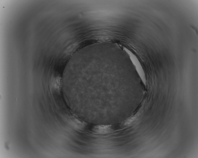 X0000096380093200801311308