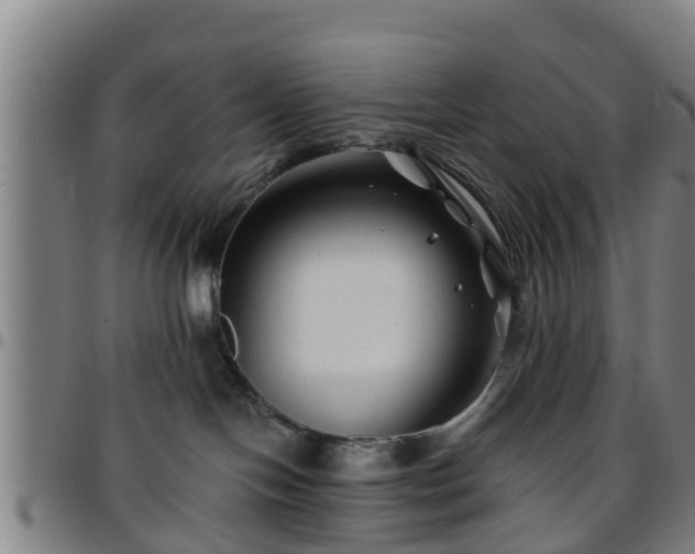 X0000096380094200801311308
