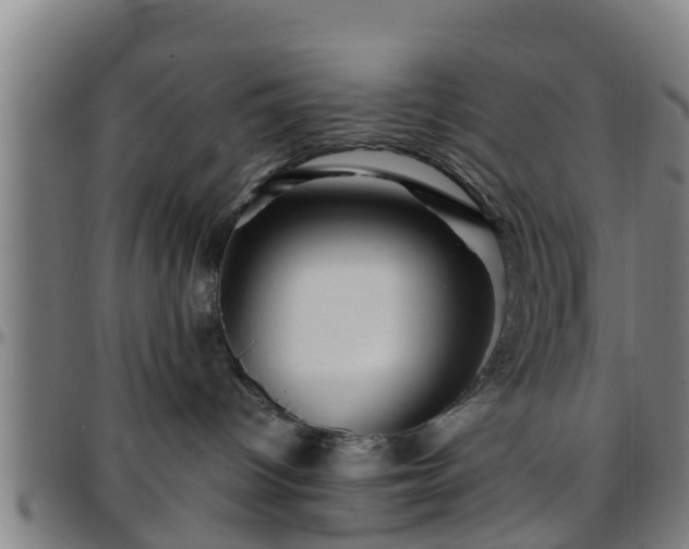 X0000096380096200801311309