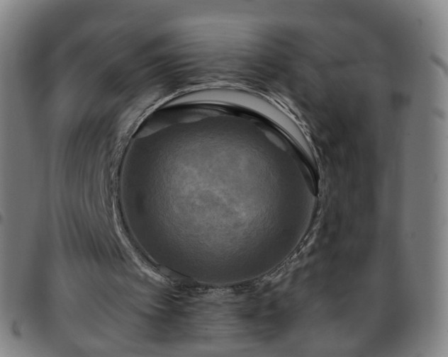 X0000096380097200801311308