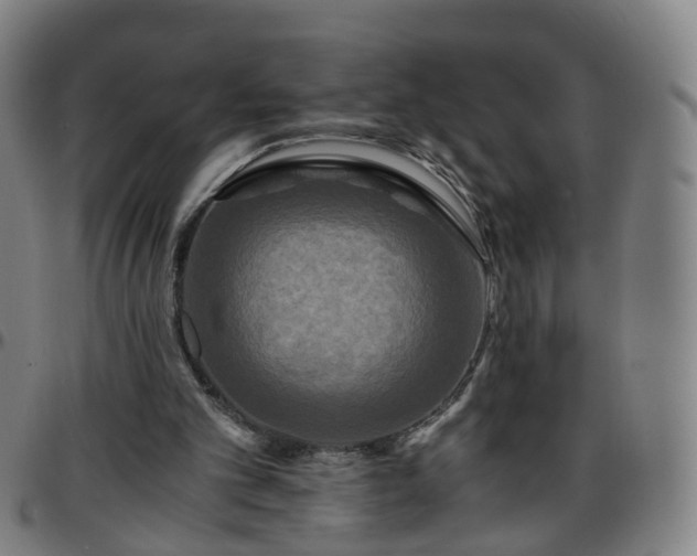 X0000096380101200801311308