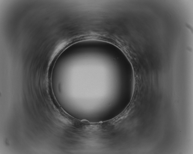 X0000096380102200801311308