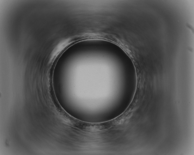 X0000096380103200801311308