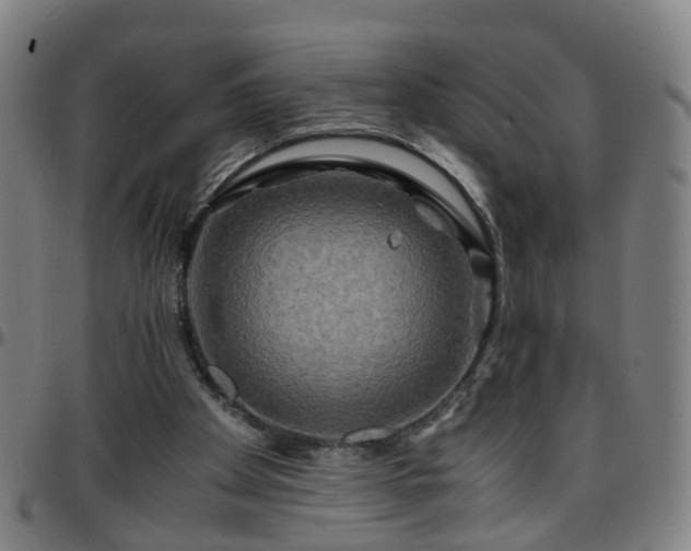 X0000096380105200801311308