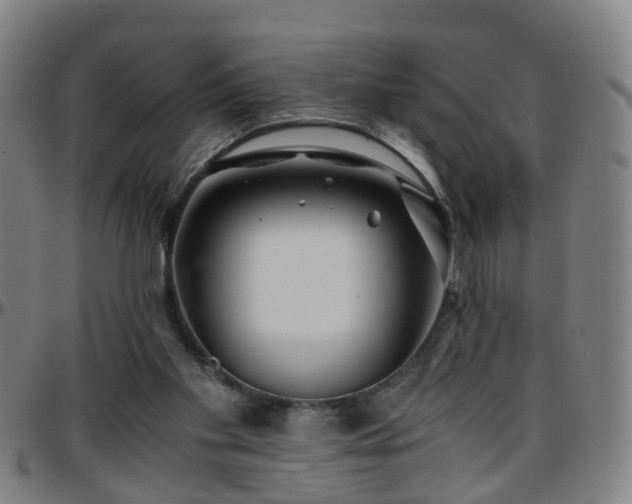 X0000096380109200801311308