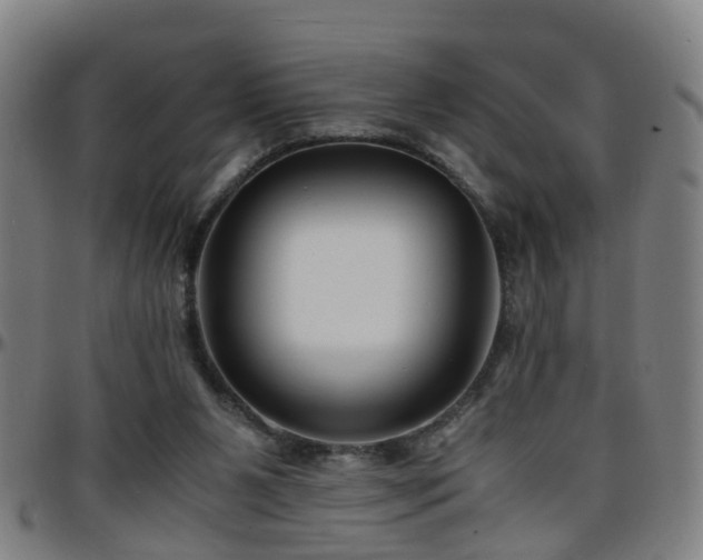 X0000096380111200801311308