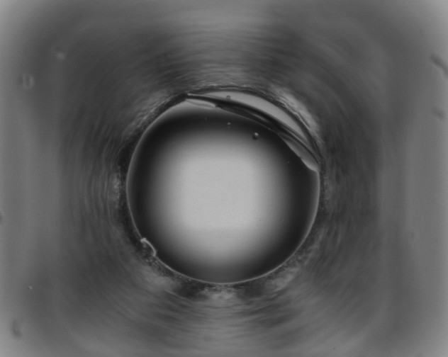X0000096380113200801311307