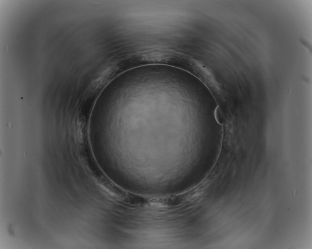 X0000096380114200801311307