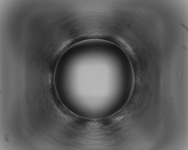 X0000096380115200801311307