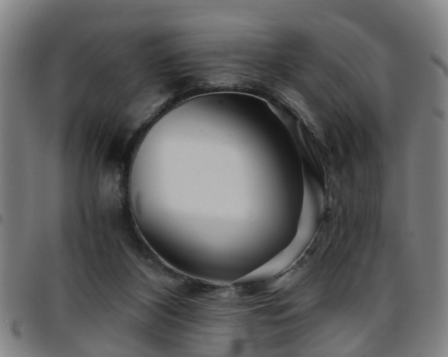 X0000096380116200801311307