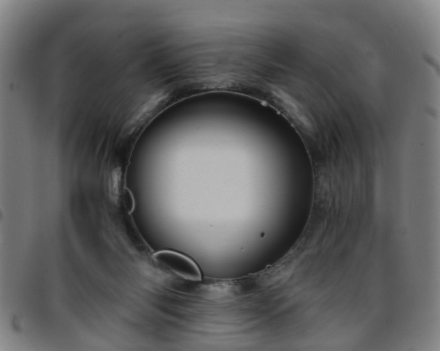 X0000096380118200801311307