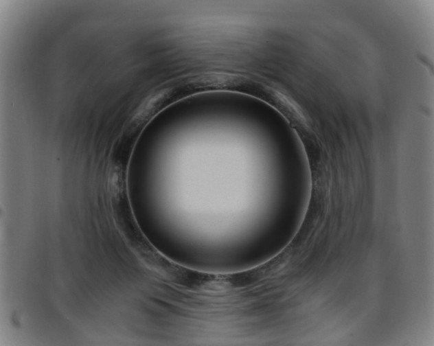 X0000096380119200801311307
