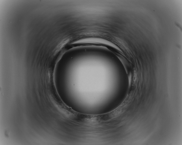 X0000096380120200801311307