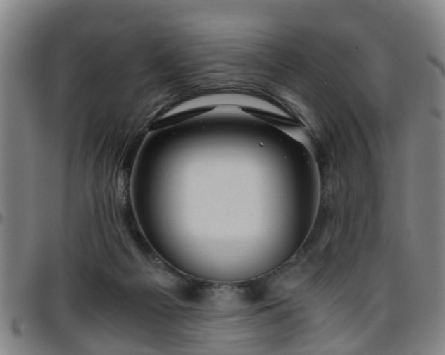 X0000096380121200801311307