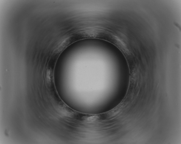 X0000096380122200801311307