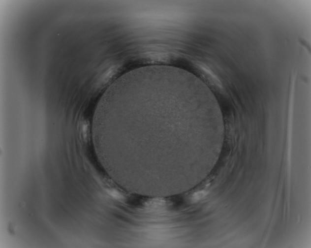 X0000096380123200801311307