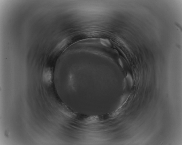 X0000096380124200801311307