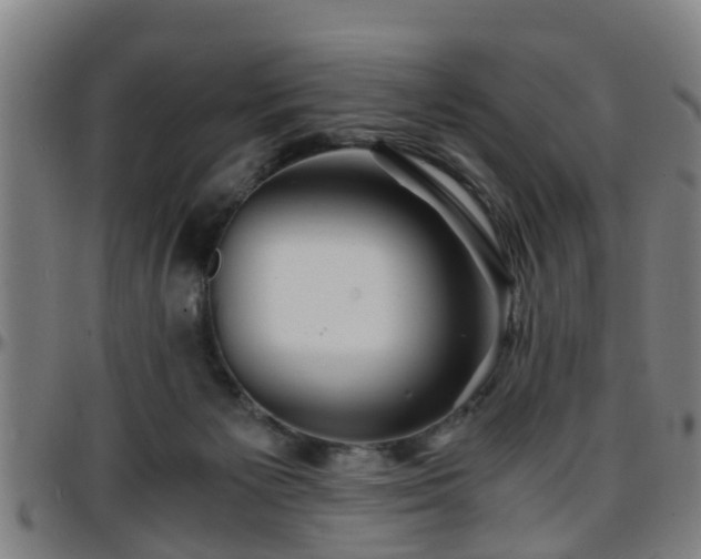 X0000096380125200801311307