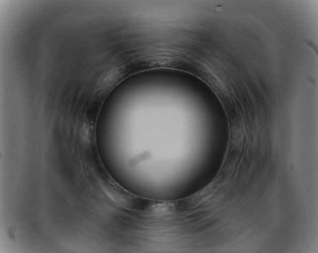 X0000096380126200801311307