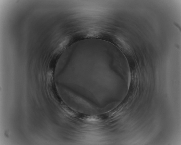 X0000096380127200801311307