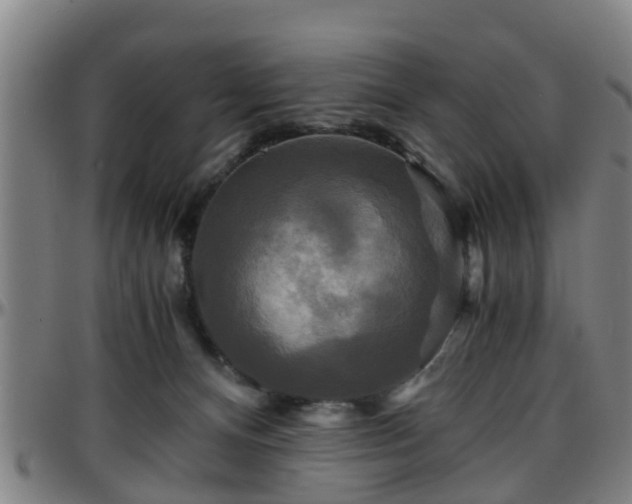 X0000096380128200801311307