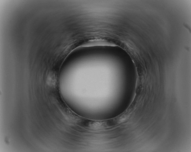 X0000096380129200801311307