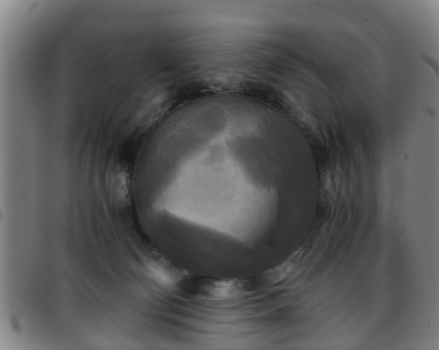 X0000096380130200801311307