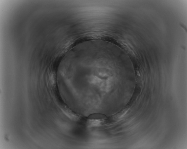 X0000096380131200801311307