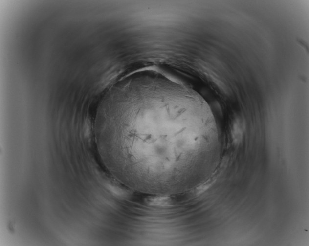 X0000096380132200801311307