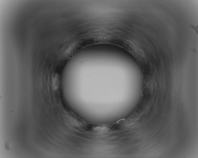 X0000096380133200801311307