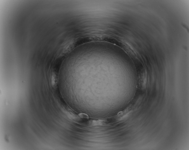 X0000096380134200801311307