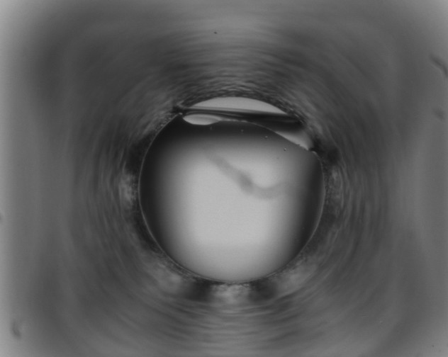 X0000096380135200801311307