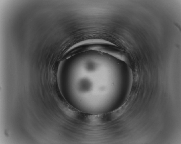 X0000096380136200801311307