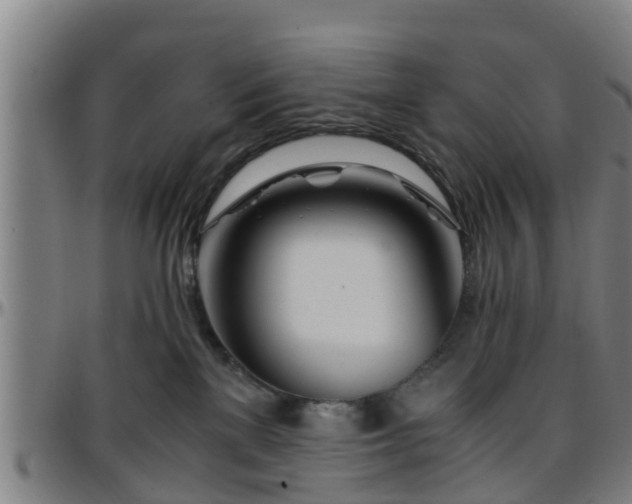 X0000096380137200801311307