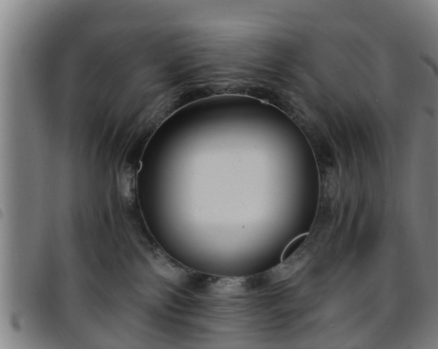 X0000096380138200801311307