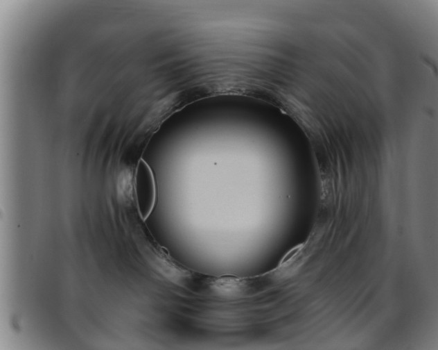 X0000096380142200801311307