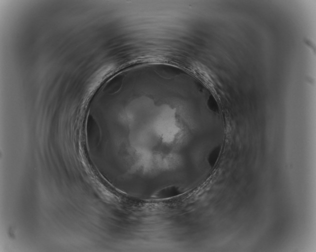 X0000096380145200801311306