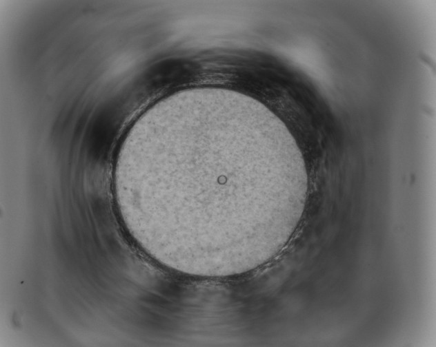 X0000096380146200801311306