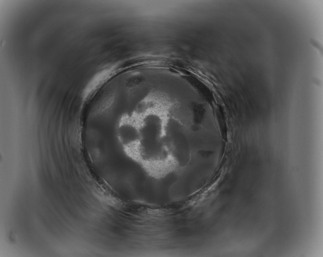X0000096380149200801311306