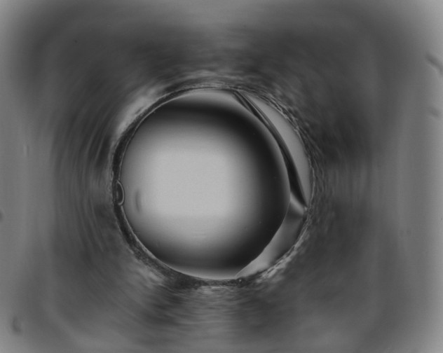 X0000096380150200801311306