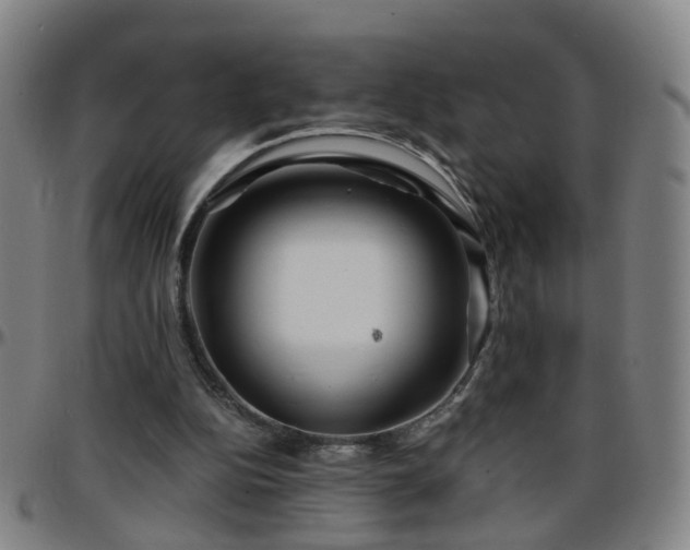 X0000096380152200801311307